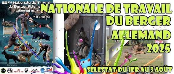Nationale de Travail du Berger Allemand 2025