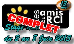 Les amis du RCI