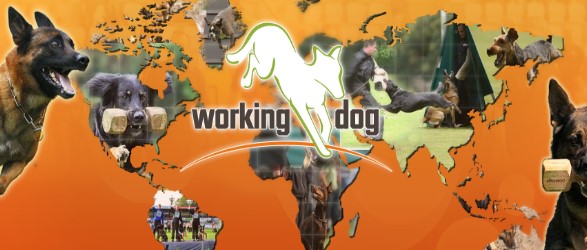 Working-Dog