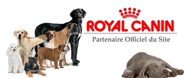 Partenariat Royal Canin