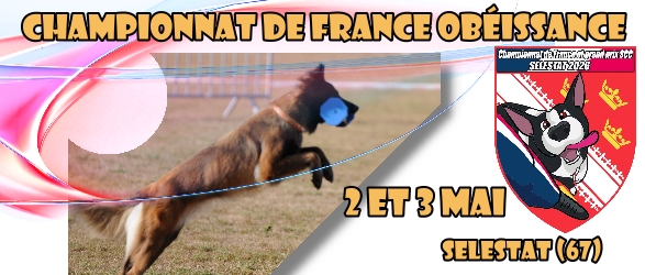 Le championnat ob�issance 2026