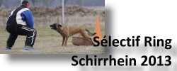Le diaporama de Schirrhein 2013
