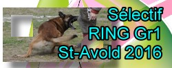 sélectif Ring Gr1 St-Avold 2016