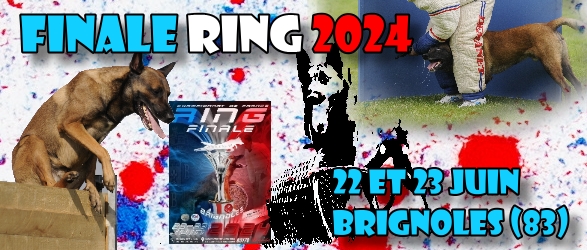 Finale RING 2024