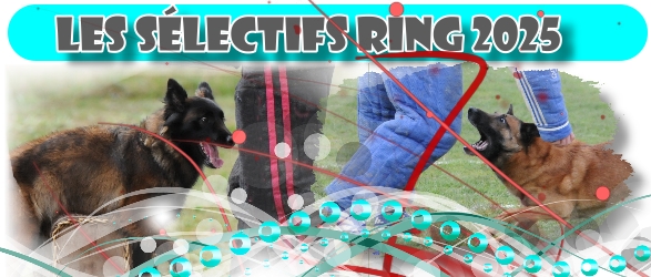 Les slectifs RING 2025