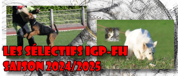 Les slectifs IGP-FH 2024-2025