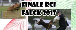 Finale IPO Falck 2017